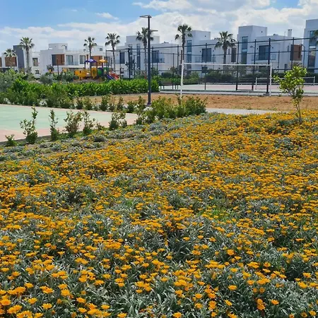 Isatis Orchard Iskele Famagusta Paralímni